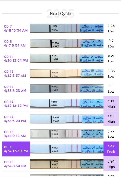May 2025 TTC Support Group