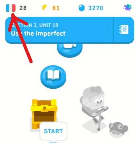 Duolingo