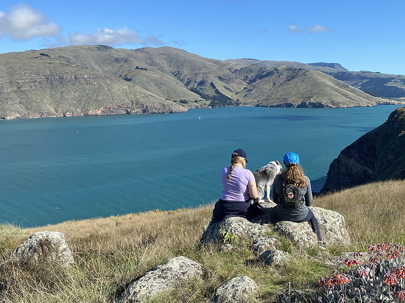 Come chat hiking with me!