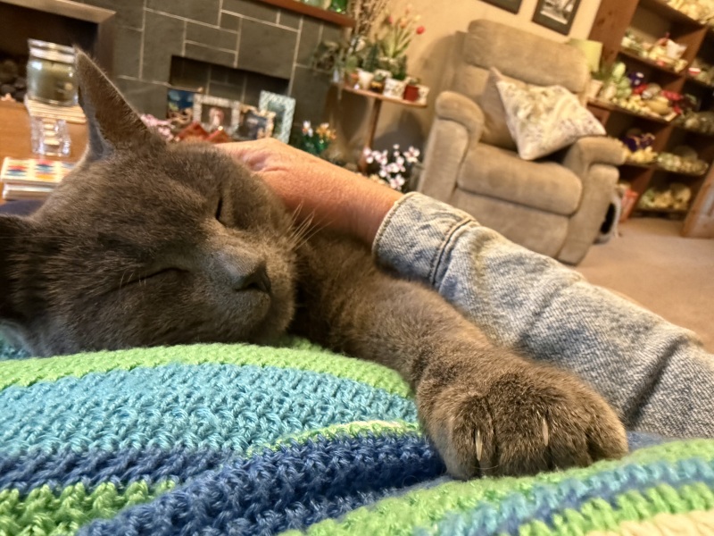 Hymns in Minor Keys & the Russian Easter Overture - the Excellent Cats ignore Culture.....