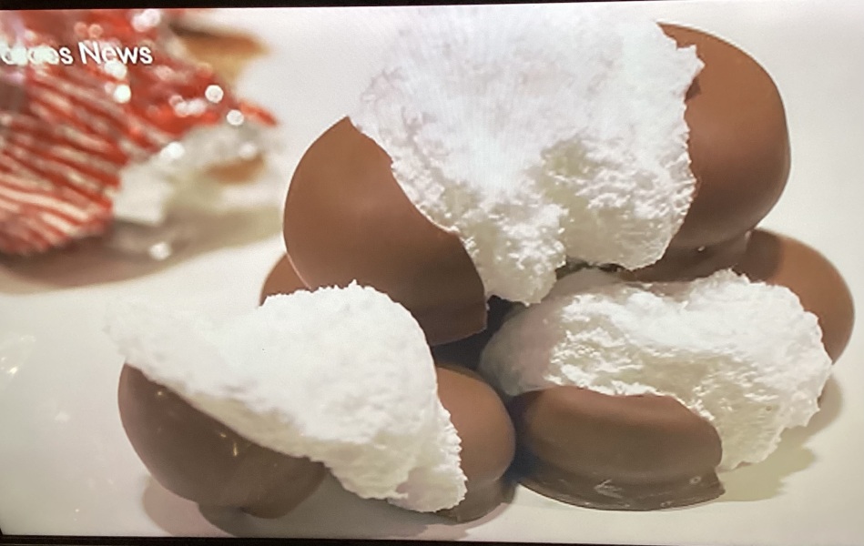 The Bluestocking - where women are women, and small furry animals are gerbils, quokkas,  capybaras, or a red panda called Rosy