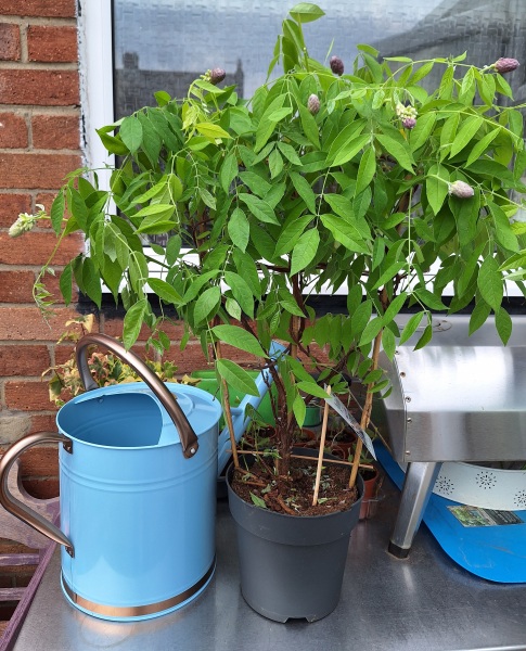 The Year Round Nigel Slater Discussion thread