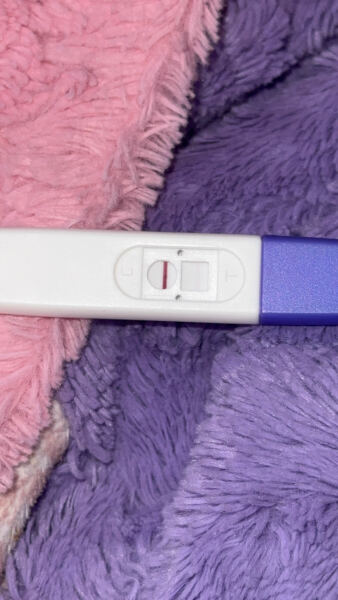 Light tests 14dpo