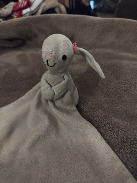 Can you please help me find this baby cuddly toy?