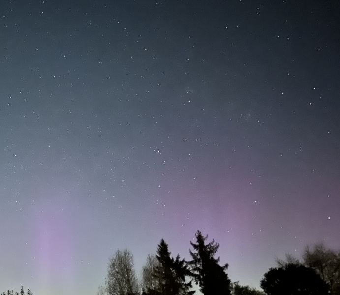 The Year Round Nigel Slater Discussion thread