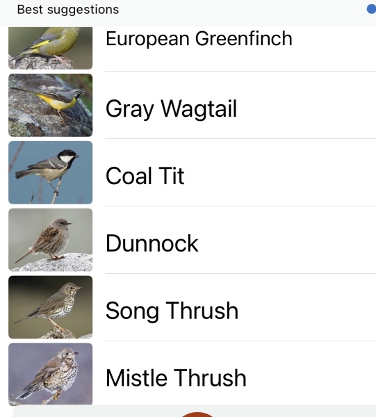 Garden birds today according to my Merlin app