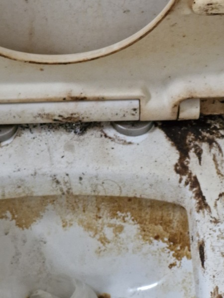 DS’s school friend made a mess of our toilet and his Mum has defended him