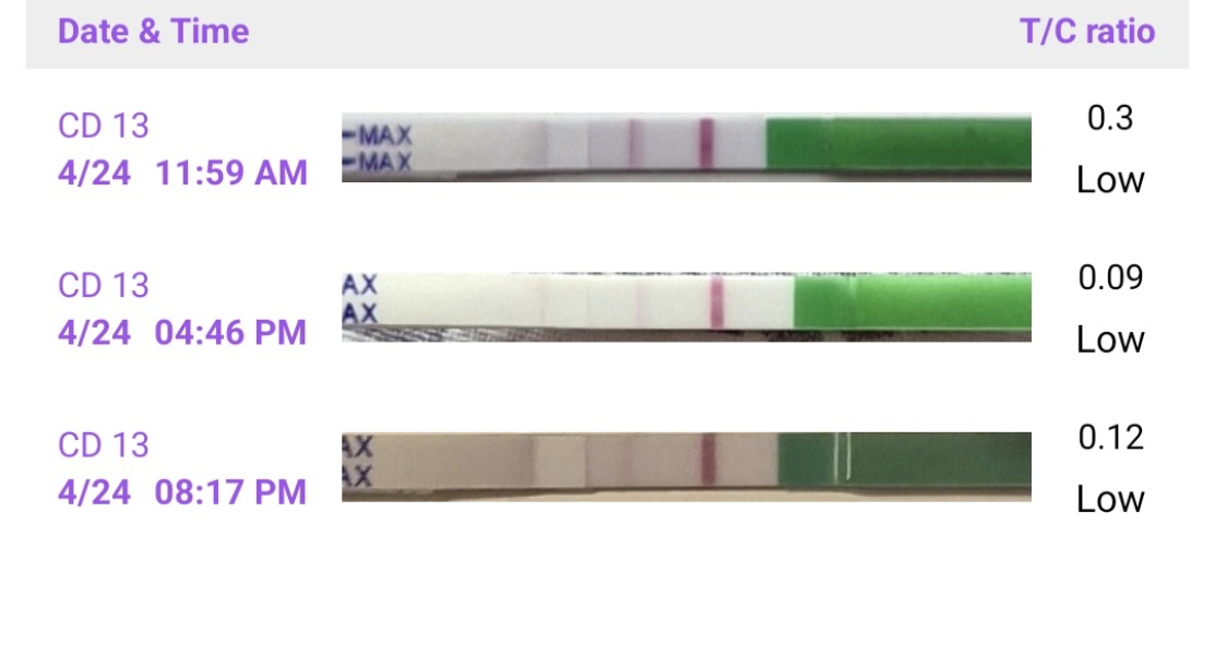 May 2025 TTC Support Group