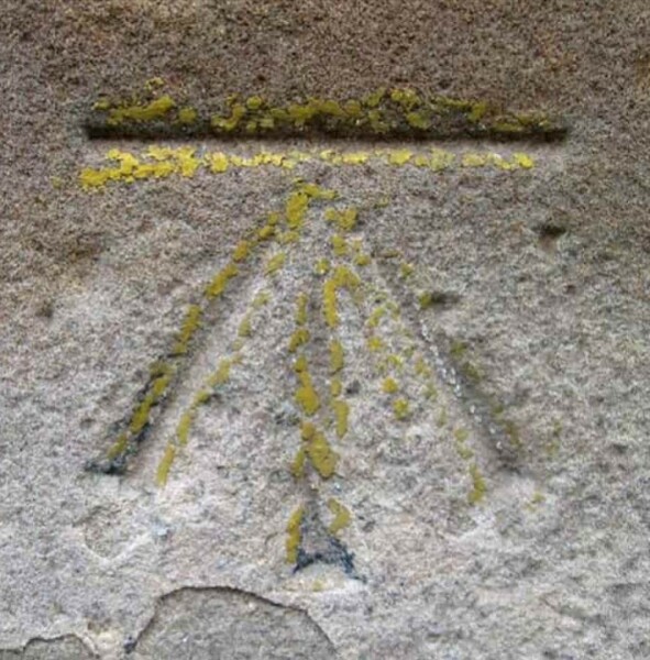 The Bluestocking - where women are women, and small furry animals are gerbils, quokkas,  capybaras, or a red panda called Rosy