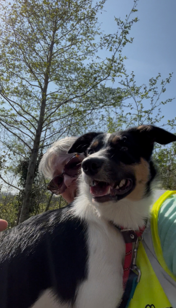Thread 21 Starmer - Casting Nasturtiums