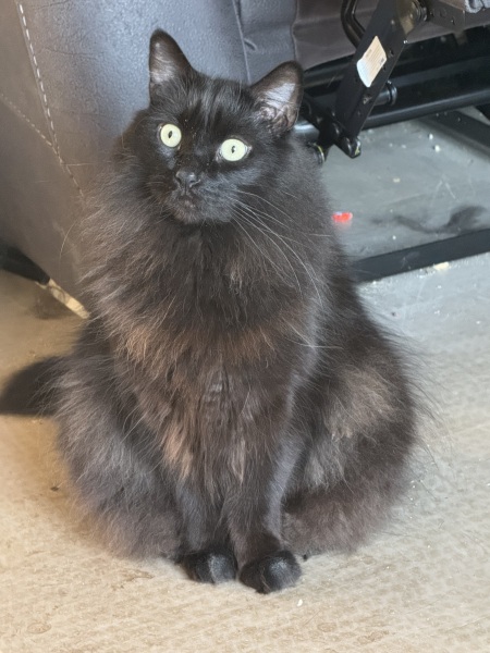 Just wanted to show you my beautiful boy