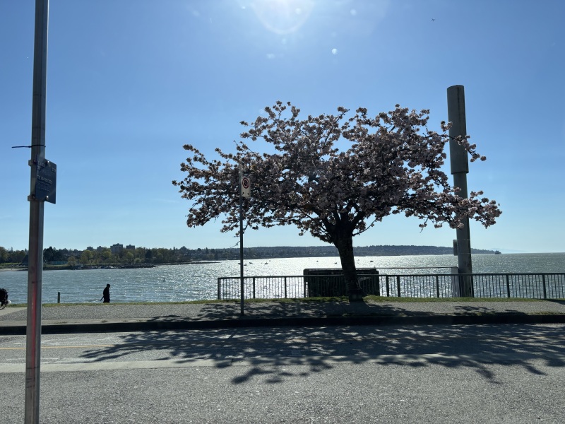 Come and tell us your dull and unexciting news 33: Calmly through the day