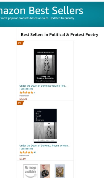 The Bluestocking Arms Women's Pub, where women make friends with Beetles, Androids, Cakes, Dragons, Hedgehogs and other women, where wit and wisdom flourish