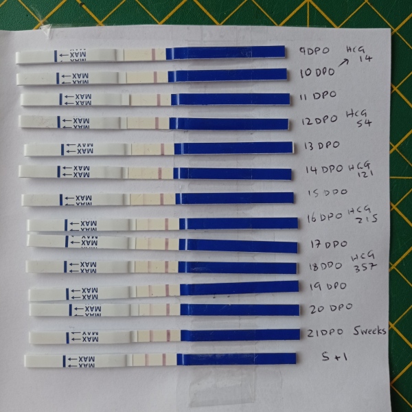 Slow line progression. Any hope? Similar success stories?