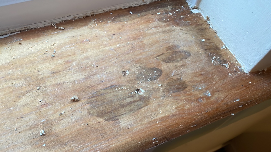 Is this windowsill ruined? (Pics)