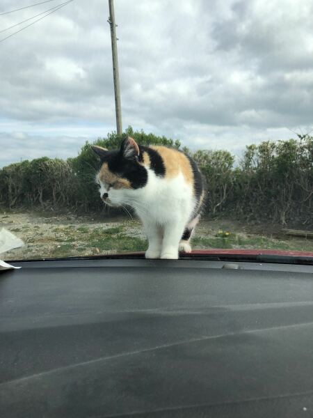 Is your March miserly or munificent? Join the frugaleers sharing news and tips.