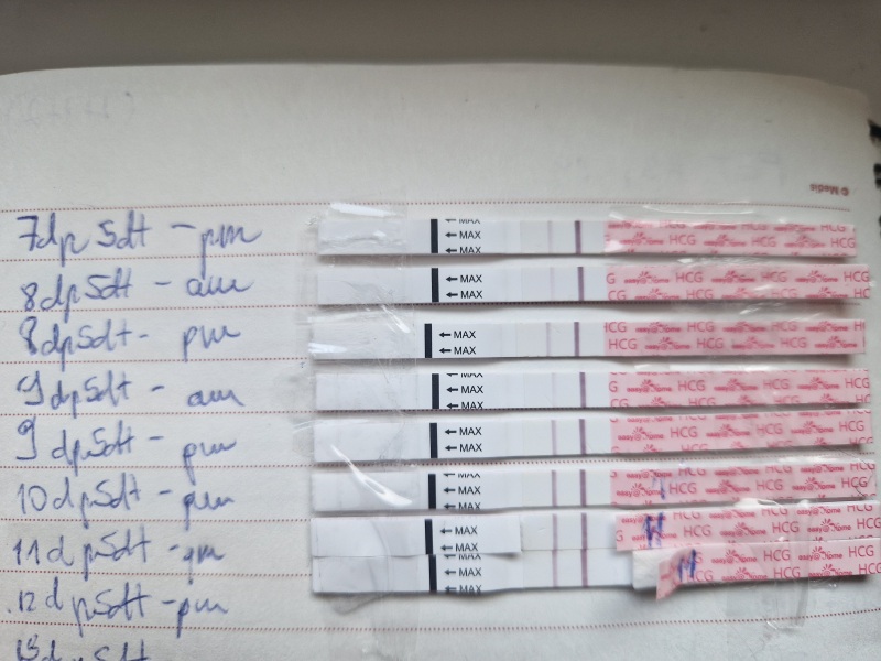 Line progression after FET - help!