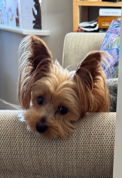 Thread 17 - TalkLair: "Okay, first of all, what's with the outfit? Live in the now, okay? You look like DeBarge."