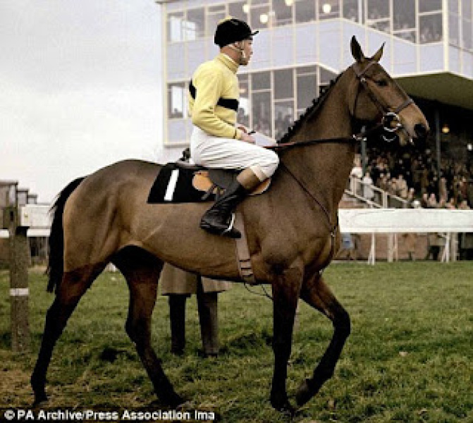 The Bluestocking - where women are women, and small furry animals are gerbils, quokkas,  capybaras, or a red panda called Rosy