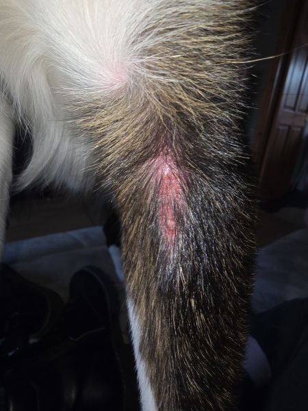 Red sore skin