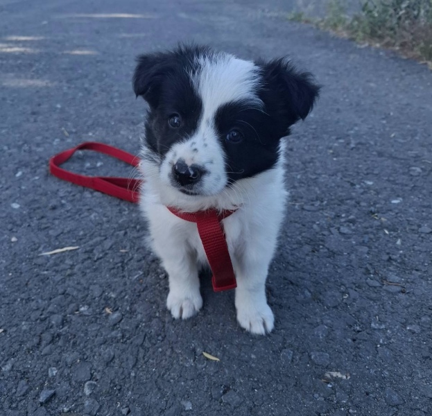 Name Ideas please.