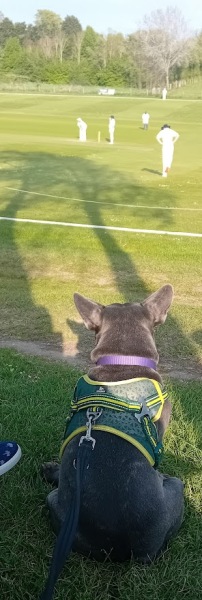 The support thread for anyone trying to live an alcohol free life. Spring 2025.