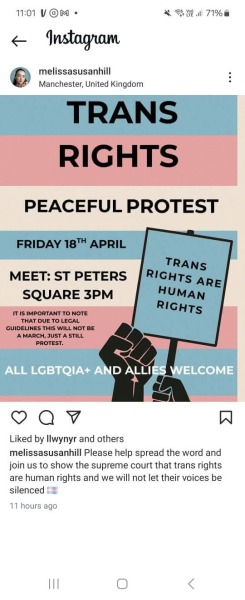 Here comes the stupidity