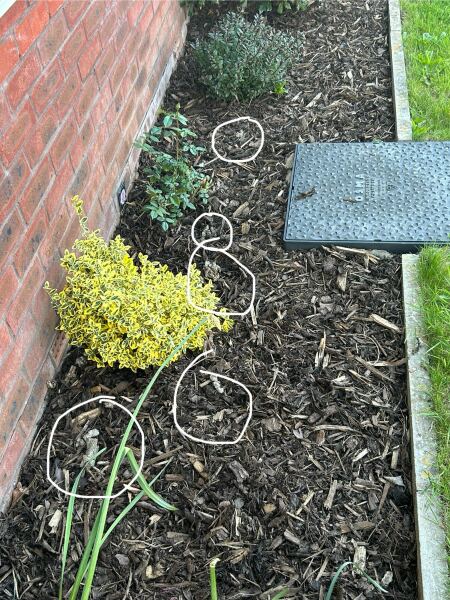 AIBU to be annoyed neighbour put spikes on the fence?