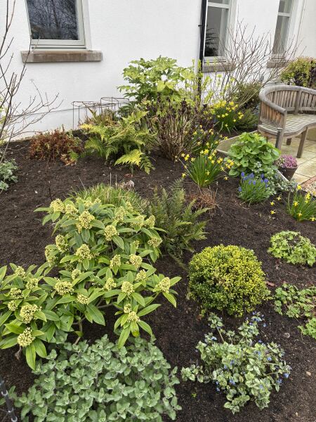 Show me your borders!!