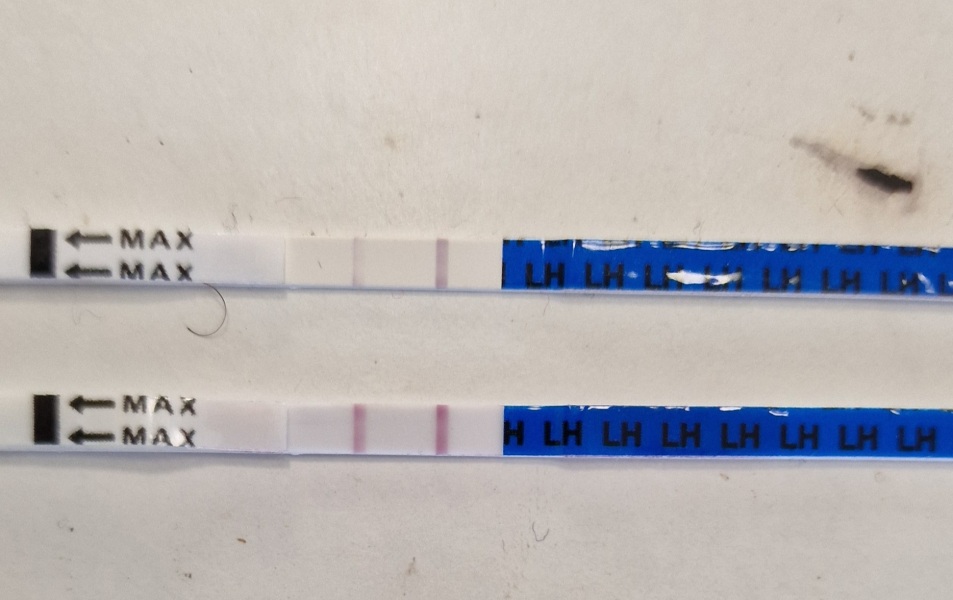 Ovulation test