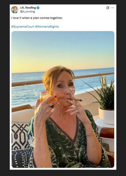 The Bluestocking - where women are women, and small furry animals are gerbils, quokkas,  capybaras, or a red panda called Rosy