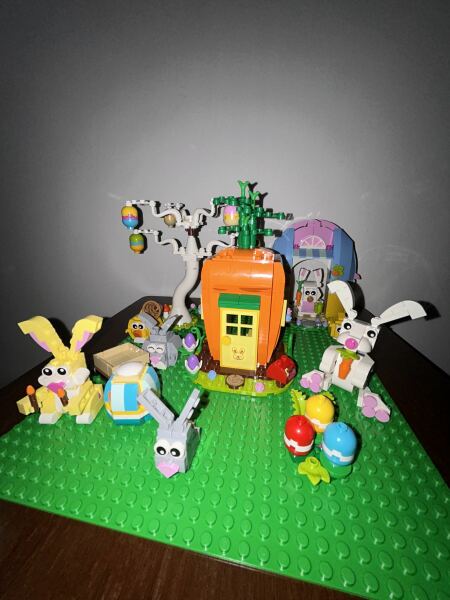 To show me your Lego collection?