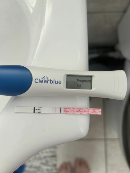 IVF March 2025