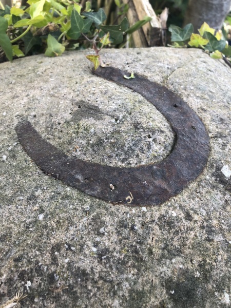 Daily Project round 7