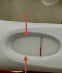 April 2025 TTC Support Group