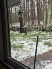 Come and tell us your dull and unexciting news 33: Calmly through the day