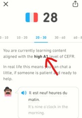 Duolingo