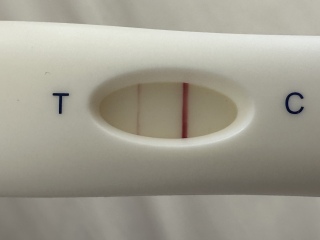 Confused by these pregnancy tests - please help!