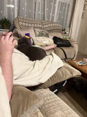 Hymns in Minor Keys & the Russian Easter Overture - the Excellent Cats ignore Culture.....