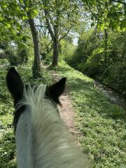 Adult new or returning riders part 2