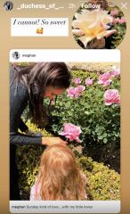 Confessions of a Female Founder fails  to chart this week