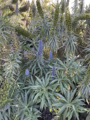 The Year Round Nigel Slater Discussion thread