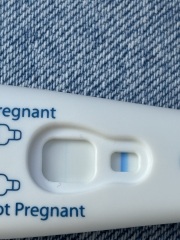VVFL - Am I pregnant?