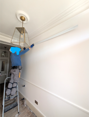 (photos) Panicking - worker here to install picture rail and not sure it's the right choice