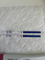 Feint line? About to have my last FET!