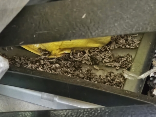 What on earth is this?
