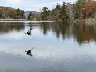 Come and tell us your dull and unexciting news 33: Calmly through the day