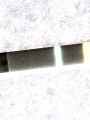 11dpo
