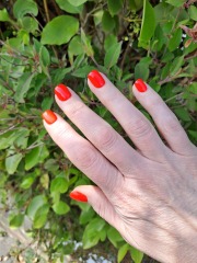 What’s your favourite nail polish colour ?