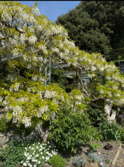 The Year Round Nigel Slater Discussion thread